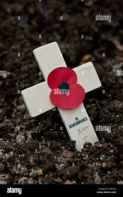 Remembrance day wooden crosses Stock Photo - Alamy