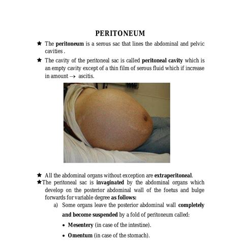 Anatomy peritoneum final.doc | DocDroid