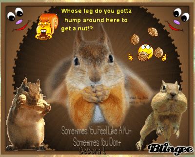 Sometimes You Feel Like A Nut, Sometimes You Don't Picture #96299125 | Blingee.com