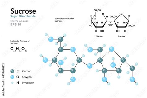 Sucrose. Cane Sugar. Disaccharide. Structural Chemical Formula and Molecule 3d Model. C12H22O11 ...