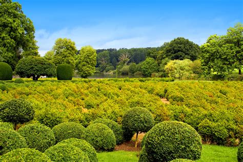 Longleat Gardens by kiel2546 on DeviantArt