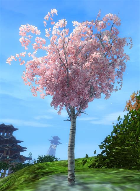 Cherry Blossom Sapling - Guild Wars 2 Wiki (GW2W)