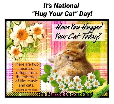 National Hug Your Cat Day - Hallmark Times