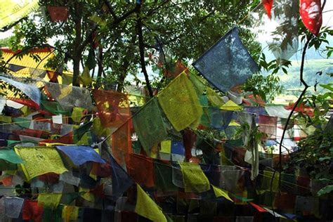 Tumble of Tibetan prayer flags in the woods on Pharping hi… | Flickr