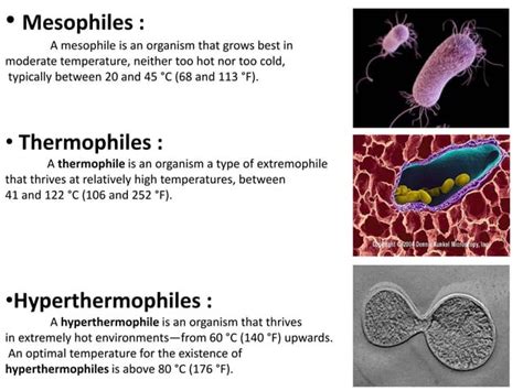 General characters of bacteria and clasification