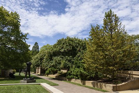 Hirshhorn Museum and Sculpture Garden - Smithsonian Gardens