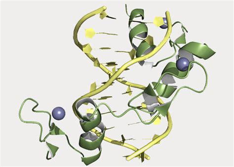 Genetic Engineering Plants