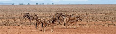 Namib Naukluft Park - A park of contrasts and extremes