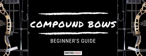 Compound Bows: Beginner's Guide - Hunting heart