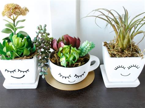 19 DIY Succulent Planter Ideas that Are So Cool You Won’t Want to Miss!