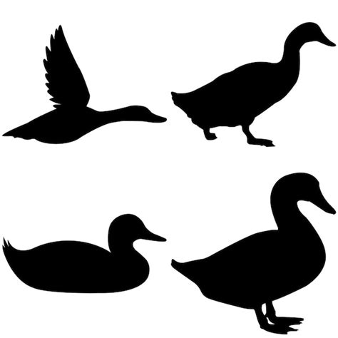 Premium Vector | Duck silhouette