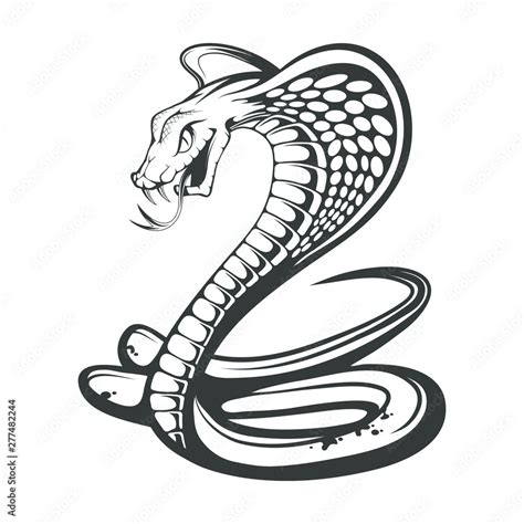 Black King Cobra logo. Snake Tattoo. Indian cobra illustration, drawing. Vector illustration ...