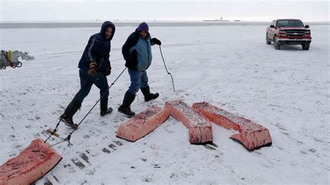 America's northernmost community maintains whaling tradition | CTV News