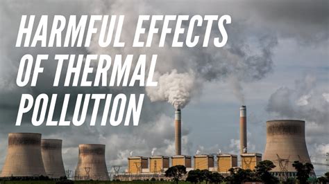 Effects Of Thermal Pollution