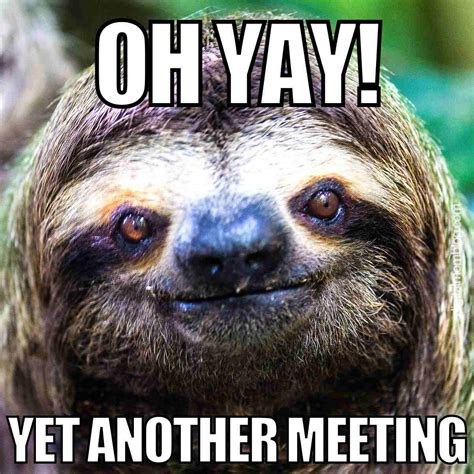 50+ Hilarious Meeting Memes for Every Workplace Scenario