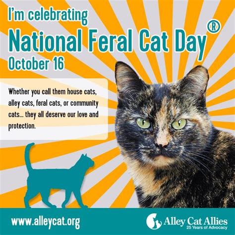 National Feral Cat Day