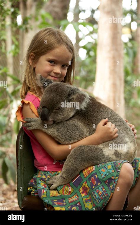 Young girl child being handed a Koala bear in Lone Pine Koala Sanctuary ...