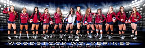 Skip Daugherty Photography | TEAM BANNERS | WHS Volleyball 2014 Team ...