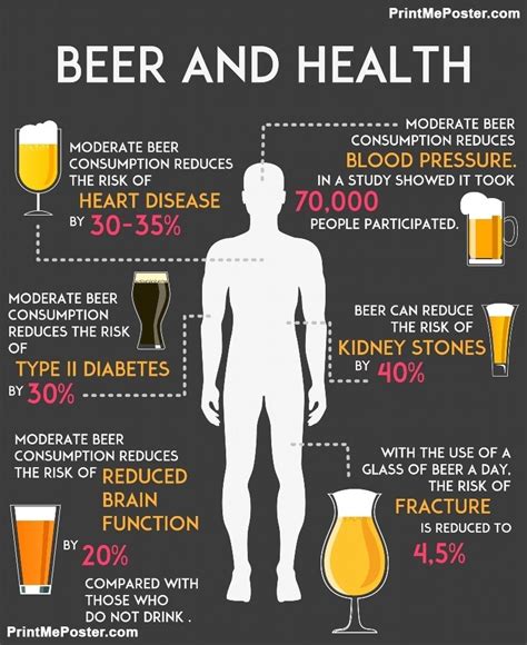 Drinking alcohol beer influence your body and health infographics vector illustration. Beer ...