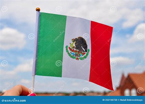 National Green White and Red Flag of Mexico with Eagle Close Up Stock ...