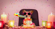 Fiftieth Birthday Cake Free Stock Photo - Public Domain Pictures