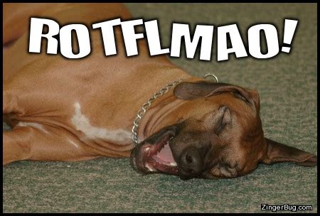 Rotflmao Funny Dog Glitter Graphic, Greeting, Comment, Meme or GIF