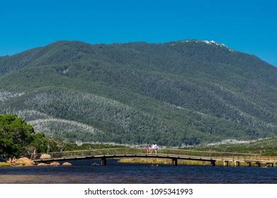 Tidal River Australia January 28 2018 Stock Photo 1095341993 | Shutterstock