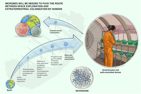 Beneficial Microbes Could Help Colonize Mars and Other Planets | Sci.News