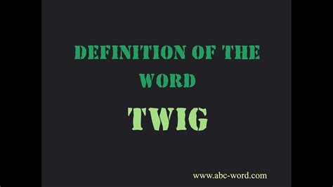 Definition of the word "Twig" - YouTube