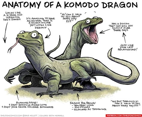 Anatomy of a Komodo Dragon - Meme Guy