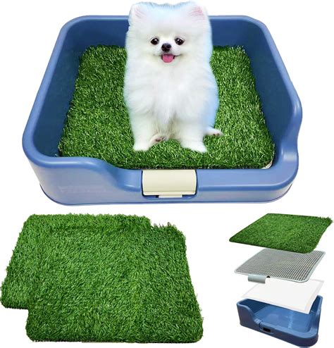 Amazon.com : [DogCharge] Indoor Dog Potty Tray (Blue) with 2 Artificial Turf – with Protection ...