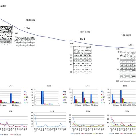 Sample sites at different parts of the slope: a-convex part; b-middle ...