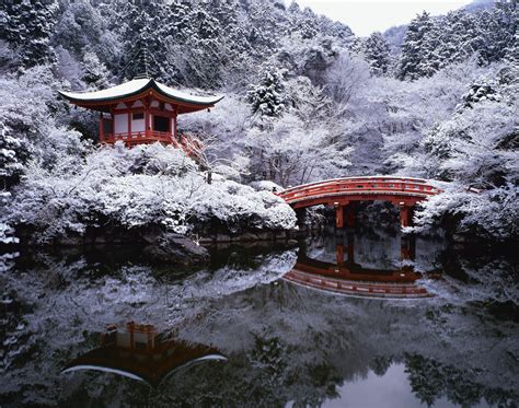 Discover the Incredible Art of Japanese Gardens - Galerie