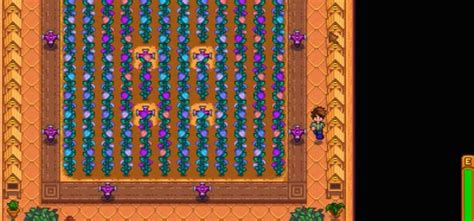 Stardew Valley Wild Horseradish: Where To Get & Common Uses – FandomSpot