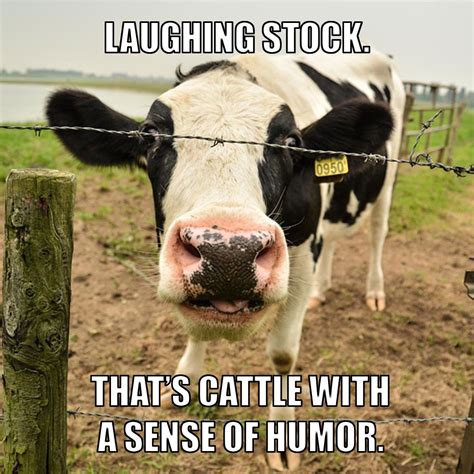 Pin by Lionel Gobeil on Funny Farm humor, Tractors, Farm jokes