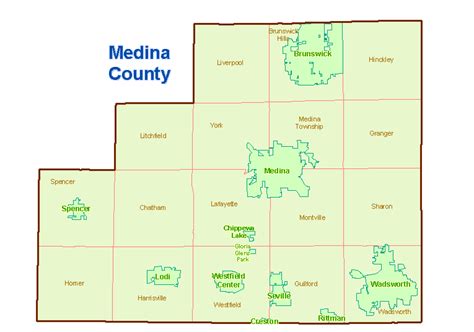 Medina County Census Page