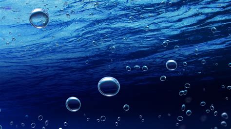 🔥 [50+] Live Bubbles Wallpapers for Desktop | WallpaperSafari