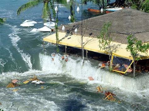 Tsunami hero tells of day of disaster | The Mercury