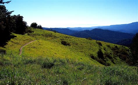 About the Santa Cruz Mountains — The Santa Cruz Mountains Bioregional ...