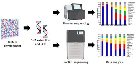 Genes | Free Full-Text | Microbial Richness of Marine Biofilms Revealed by Sequencing Full ...