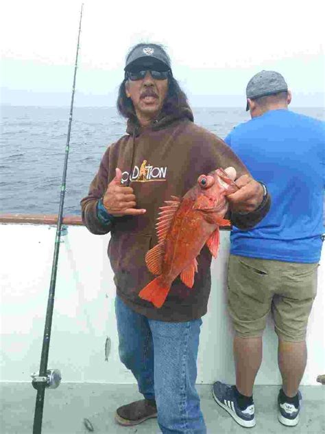 Redondo Beach Sportfishing Fish Counts