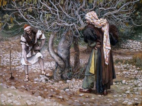 Parable of the barren fig tree Luke 13 6 9