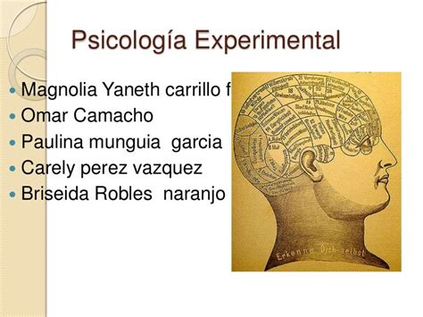 Psicología experimental