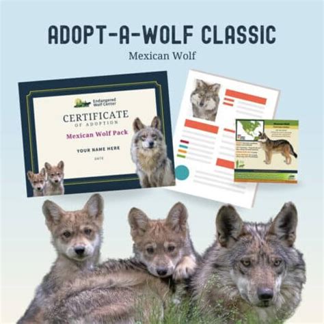 Adopt - Endangered Wolf Center