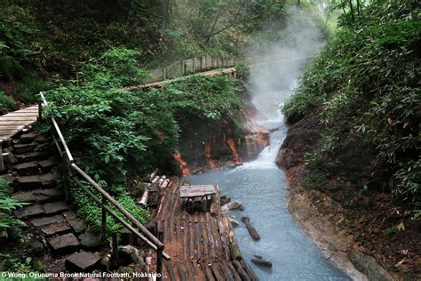 Shikotsu-Toya National Park hot springs, Noboribetsu Japan | National parks, Japan, Hot springs