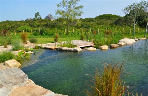 Set in a field, this pool is fresh and natural | Natural swimming ponds ...