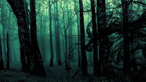 Fog Forest HD Dark Aesthetic Wallpapers | HD Wallpapers | ID #45568