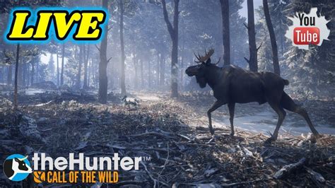 The hunter call of the wild pc join multiplayer - loudlop