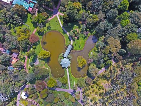 Jardín Botánico de Bogotá Jose Celestino Mutis - Lo que se debe saber antes de viajar - Tripadvisor