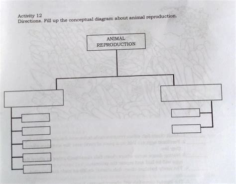 42 Animal Reproduction Diagram | Plan Artplan